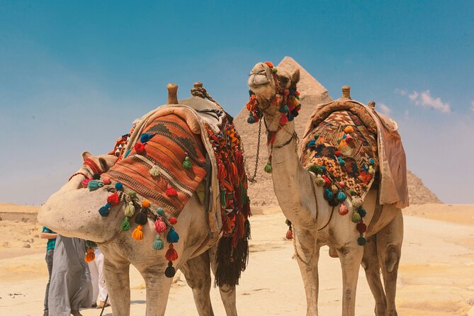 2 Day Pyramid, Sakkara, Memphis, Museum, and Citadel Private Tour - Giza, the Great Sphinx, Sakkara, and Memphis in three hours