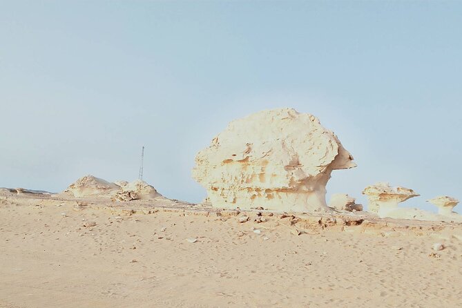 2-Day Shared Tour in White Desert from Cairo - Al-Marsous Mountain and the Black Desert