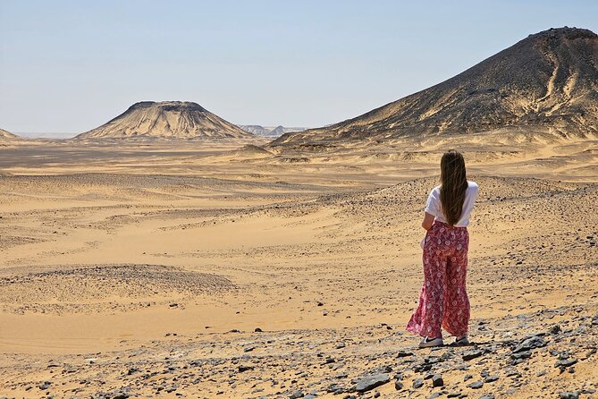 2 Days White Desert And Bahariya Oasis Tour - Guide service and practical comfort