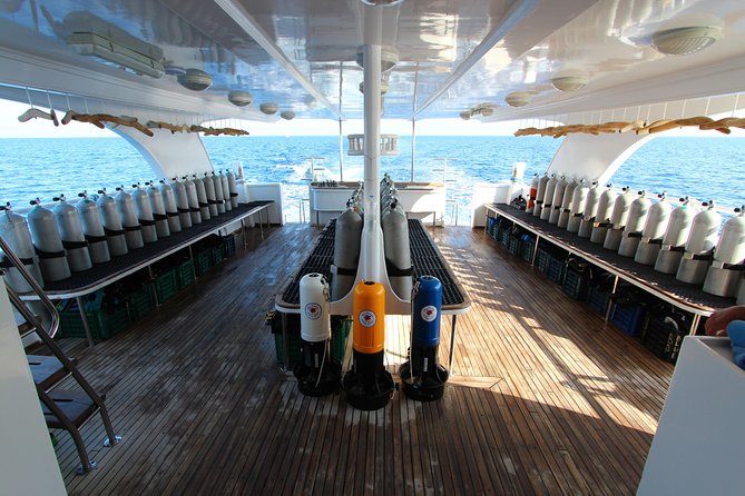 2-Dive adventure-Safe & Top-rated boat for Certified Divers - Returning to the marina by 4 p.m.