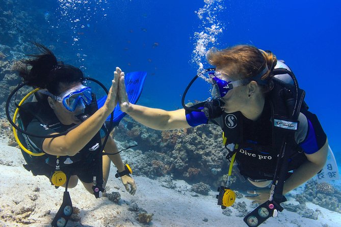 2-Dive adventure-Safe & Top-rated boat for Certified Divers - Choosing the first underwater site