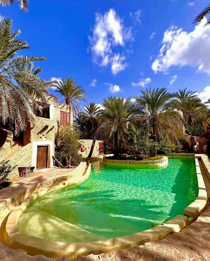 2 Nights 3 Days at Siwa Oases camp from Cairo - Salt lakes and Cleopatra Spring