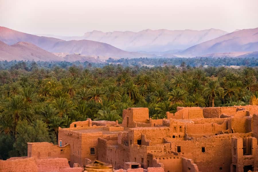 2 Nights 3 Days at Siwa Oases camp from Cairo - What the schedule feels like day by day