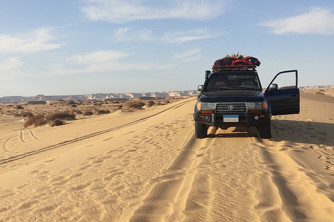 3 Days 2 Nights Black and White Desert Tours Experience - Fossils, petrified wood, and the old and new White Desert
