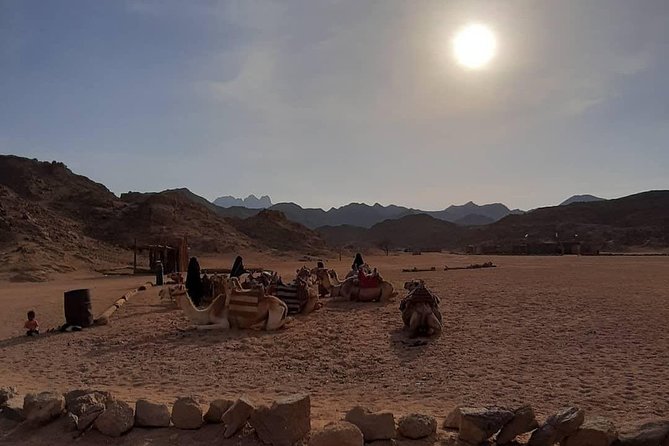 3 Hours Safari by Quad Bike - Hurghada - Learning the quad bike before the main ride