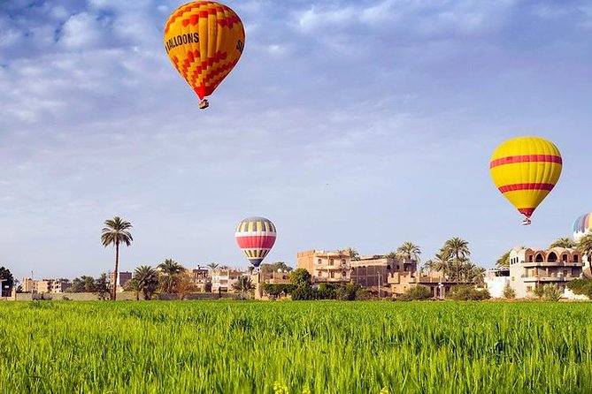 3 Nights Cruise Aswan to Luxor including Abu Simbel, Nubian Village&Air Balloon - Day three: Edfu and the slow approach to Luxor
