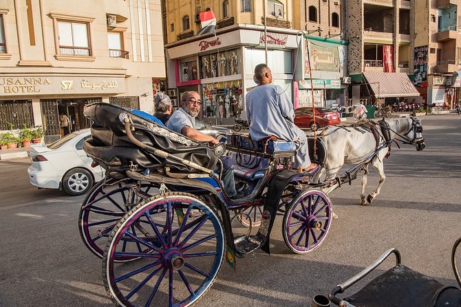 4 Day Luxor&Aswan Nile cruise&Abu Simbel by plane from Cairo.Hot deal - Day 4: The West Bank, Karnak, and a 3 p.m. finish