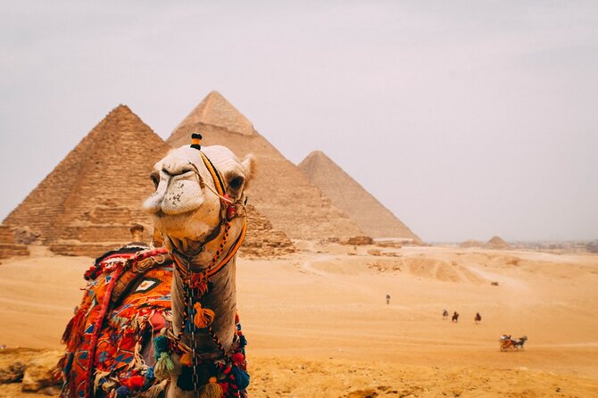 6 Hour Private Tour in Giza Pyramids, Citadel and Coptic Cairo - A fast route through three Cairo eras