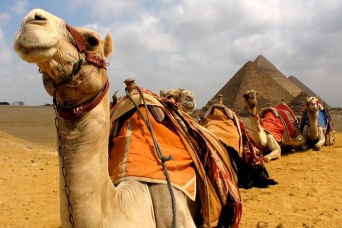 6 Hours visit to Giza pyramids sphinx and Sakkara - Saqqara and the first great pyramid design