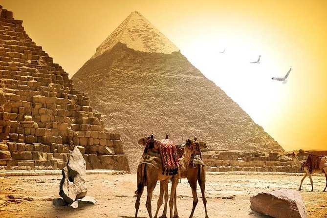 8-Day Private Tour Cairo, Aswan, Luxor and Nile Cruise Including Air Fare - Day 3: Flying to Aswan and visiting Philae