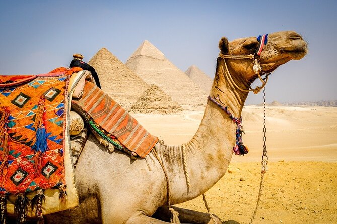 All INC- Pyramids,Camel Ride،(1 hour) four wheeler (ATV)& Lunch - One hour on an ATV behind the pyramids