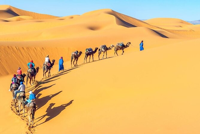 All Inclusive Day Tour To Cairo from Alexandria Port - Is a Cairo day trip from Alexandria worth the long road?