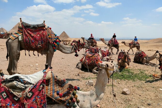All inclusive Giza Pyramids ,Sphinx ,Lunch ,Camel&Inside pyramid - The 30-minute camel ride and panoramic view