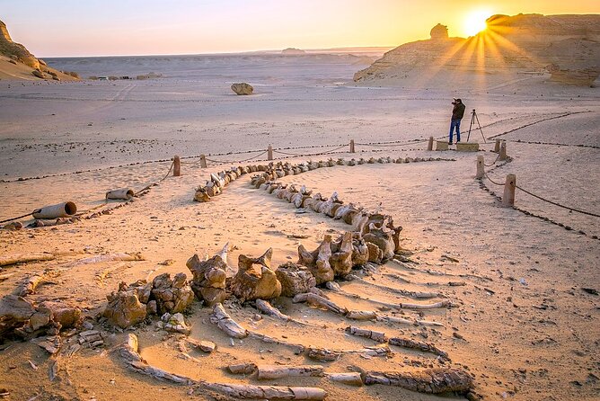 Allinclusive Private Tour Fayoum Oasis & Valley of Wales - Why Fayoum makes a smart break from Cairo