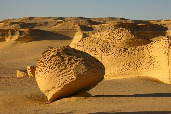 Allinclusive Private Tour Fayoum Oasis & Valley of Wales - Should you add the Valley of the Whales?