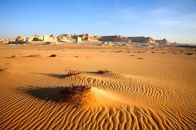Allinclusive Private Tour Fayoum Oasis & Valley of Wales - Tunis Village and local character