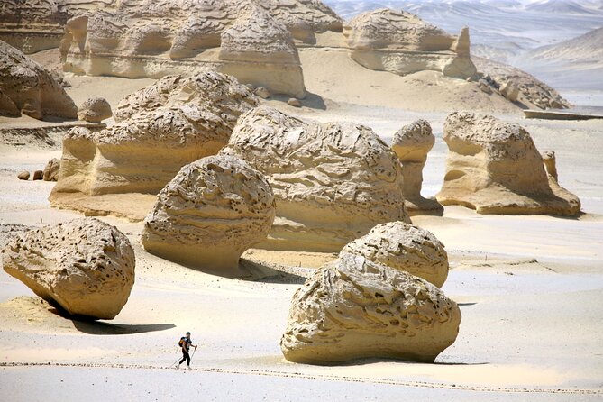 Allinclusive Private Tour Fayoum Oasis & Valley of Wales - The first lake stop, Lake Qarun