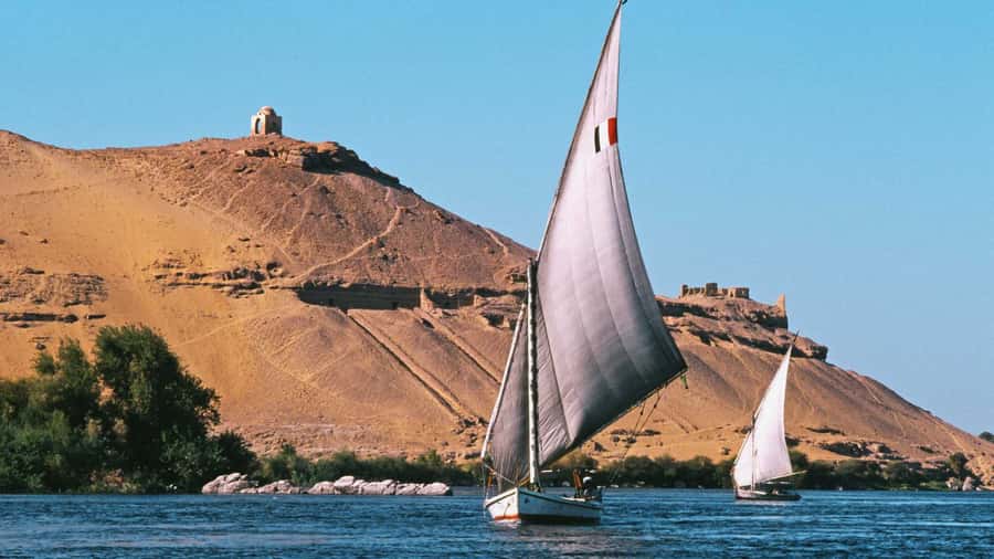 Aswan: 3-Day Nile River Cruise to Luxor with Guided Tours - Day two: Edfu’s Temple of Horus and the Esna lock