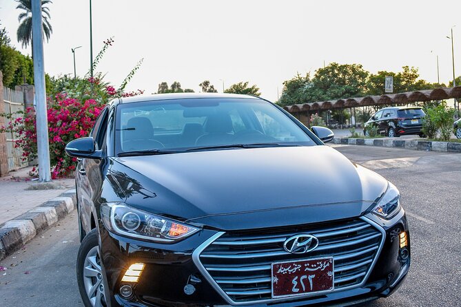 Aswan Airport Transfer To Hotel - Communication and English ability