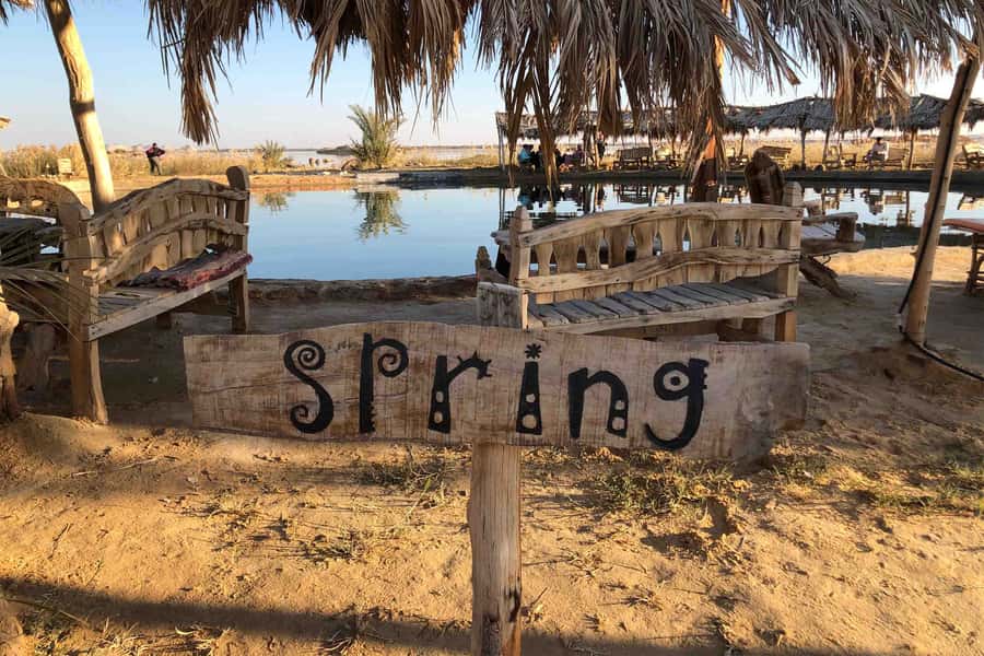 Cairo: 3-Day Siwa Oasis Tour, Safari, Camp & Historical Site - Who will enjoy this trip most