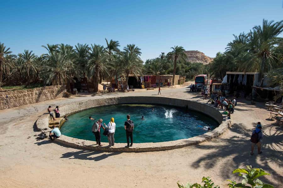 Cairo: 3-Day Siwa Oasis Tour, Safari, Camp & Historical Site - Day one: El Alamein, salt water, and the first Siwan sunset