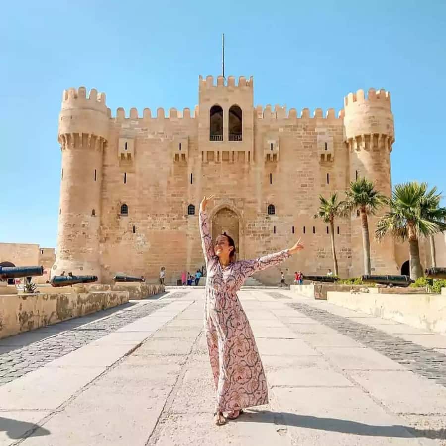 Cairo: Archeological Day-Trip to Alexandria - Key points to know before booking