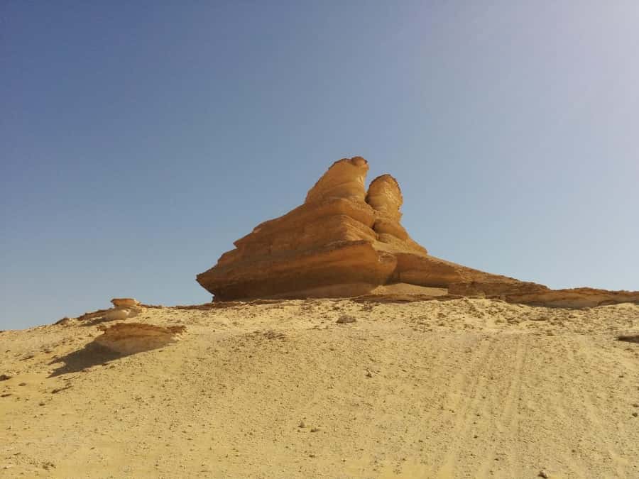 Cairo: Bahariya Oasis & White Desert A Private Day Adventure - The White Desert’s pale limestone shapes