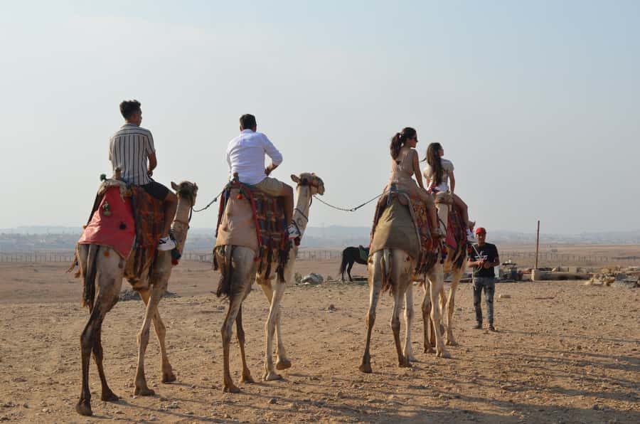 Cairo: Camel Ride Around The Pyramids with Hotel Pickup - A camel seat with a wide view of Giza