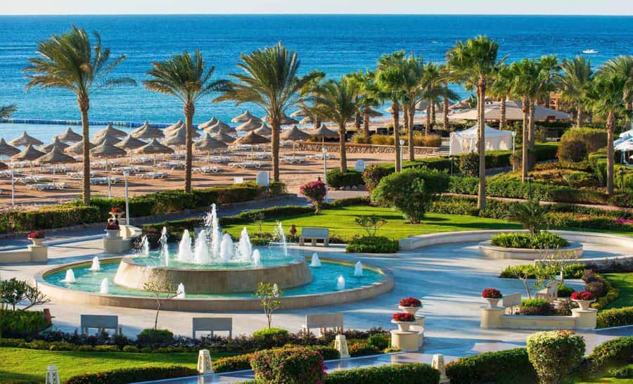 Cairo: Day Tour to the Red Sea with Lunch - Why this Red Sea day works after Cairo sightseeing