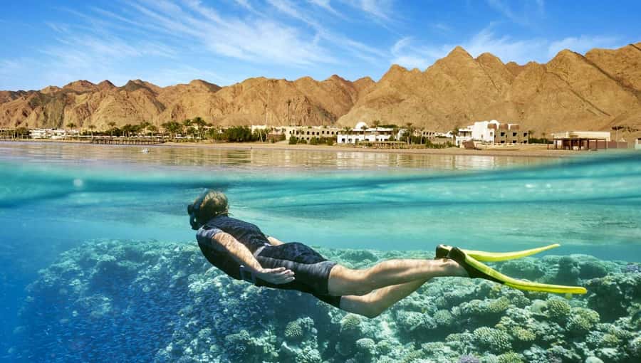 Cairo: Day Tour to the Red Sea with Lunch - Six hours at the beachfront resort