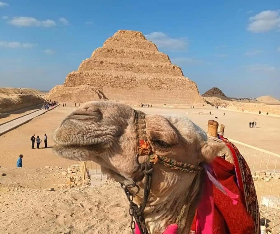 Cairo: Djoser, Bent Pyramid & Memphis Day Trip - Key points to know before booking