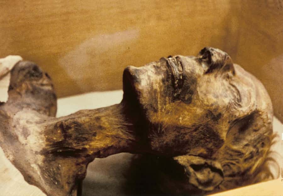 Cairo: Egyptian Museum 4-Hour Private Tour with Transfer - Is $60 a fair price?
