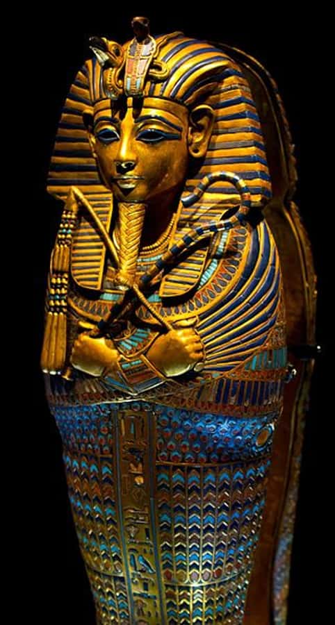 Cairo: Egyptian Museum 4-Hour Private Tour with Transfer - From your hotel to the museum