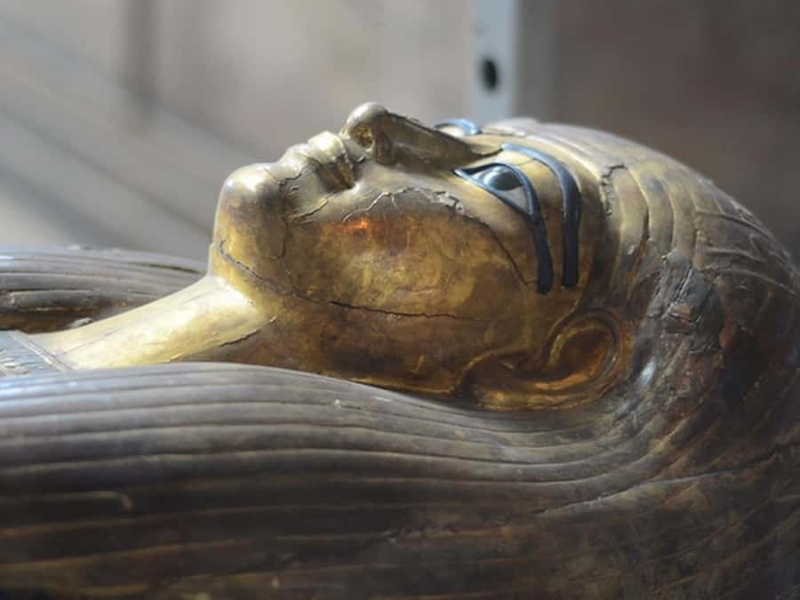 Cairo: Egyptian Museum, Citadel, and Old Cairo Guided Tour - Key points to know before booking