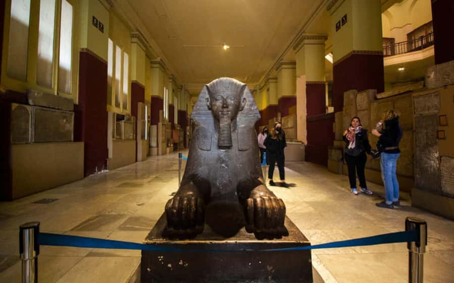 Cairo: Egyptian Museum Private Half Day Guided Tour - Languages, cancellation, and booking flexibility