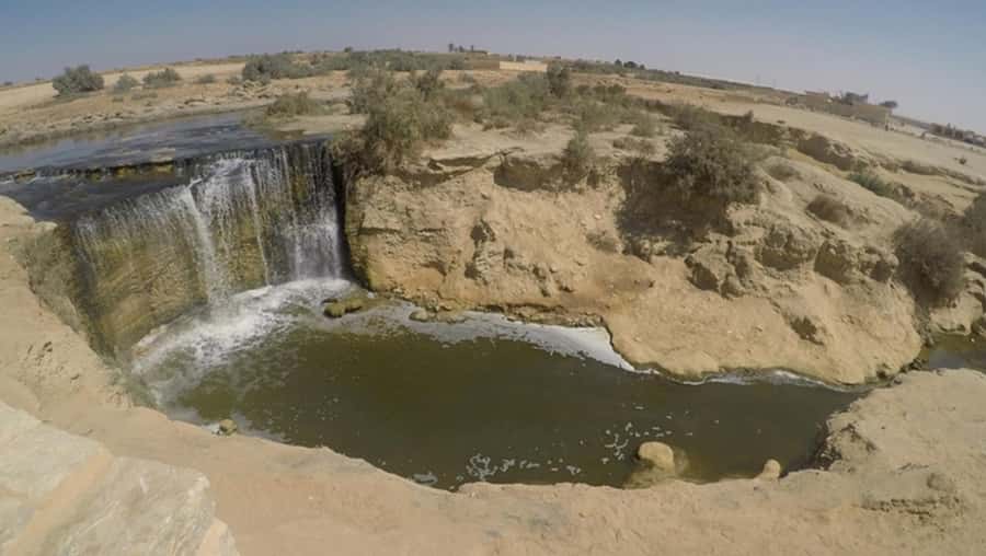 Cairo: Fayoum, Wadi El Rayan, and Wadi al Hitan 4x4 Tour - Key points to know before booking