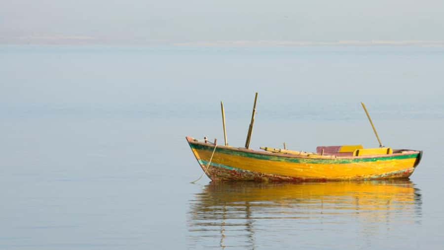 Cairo: Fayoum, Wadi El Rayan, and Wadi al Hitan 4x4 Tour - Wadi al Hitan and the ancient whales
