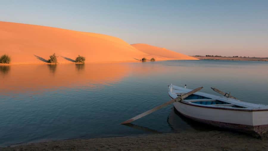 Cairo: Fayoum, Wadi El Rayan, and Wadi al Hitan 4x4 Tour - Who should book this Fayoum day trip?