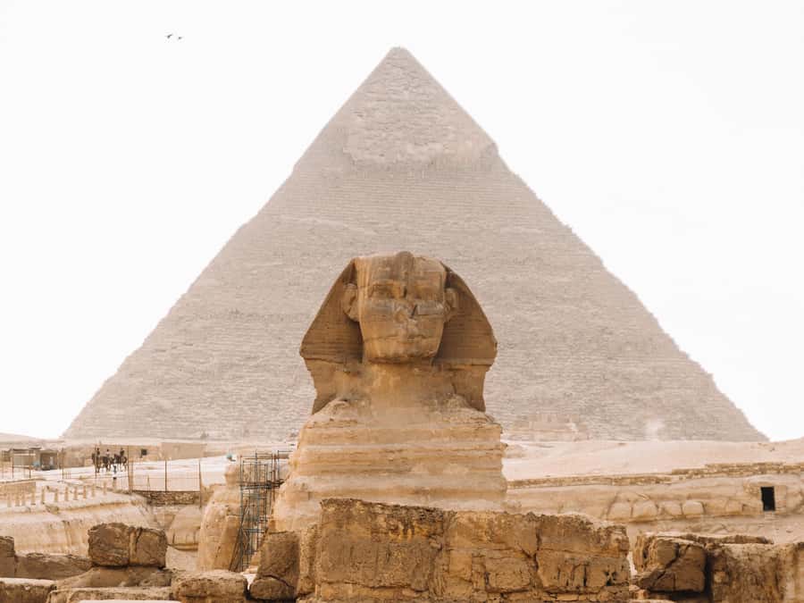Cairo: Giza Great Pyramids Tour with Sightseeing Options - What makes the Egyptian Museum visit worthwhile
