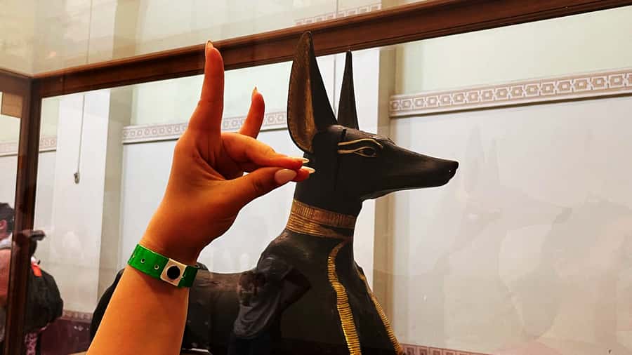 Cairo: Giza Pyramids, Egyptian Museum & Nile Dinner Cruise. - Should You Book It?