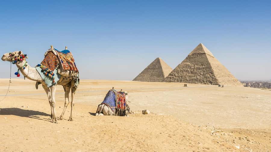 Cairo: Giza Pyramids, Memphis, Saqqara Private Tour & Lunch - Saqqara and the Step Pyramid of Djoser