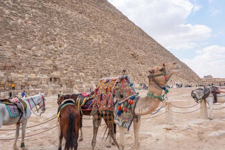 Cairo: Giza Pyramids, Museum & Tahrir Square Private Tour. - Guides, languages, and the private setup