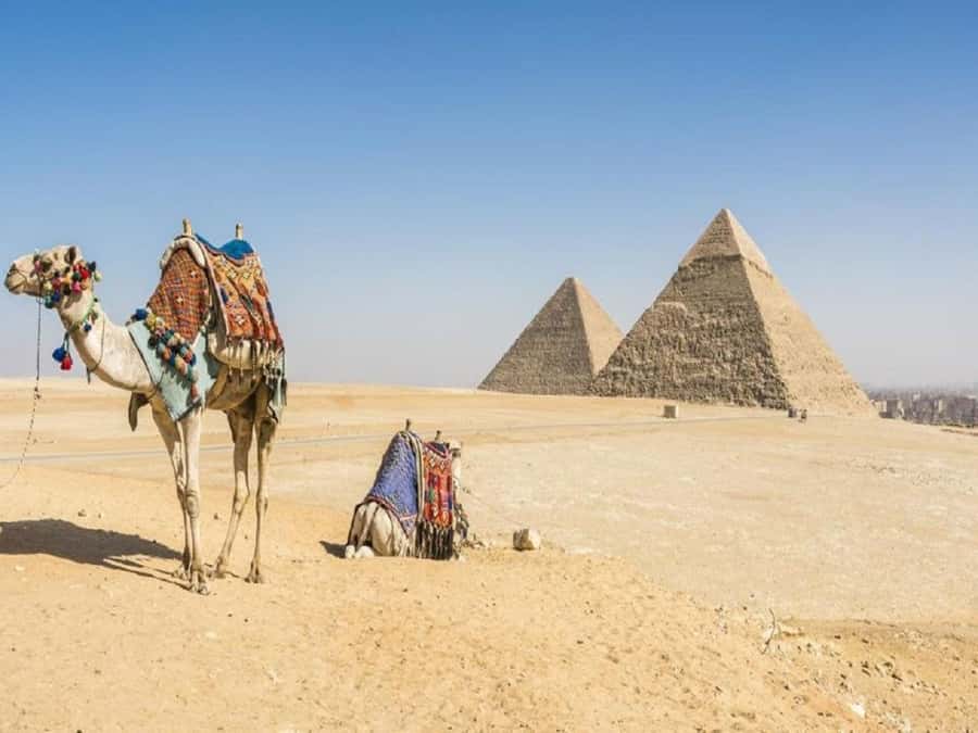 Cairo: Giza Pyramids, Sakkara & Dahshur All-Inclusive Tour - Giza’s three pyramids and the Great Sphinx