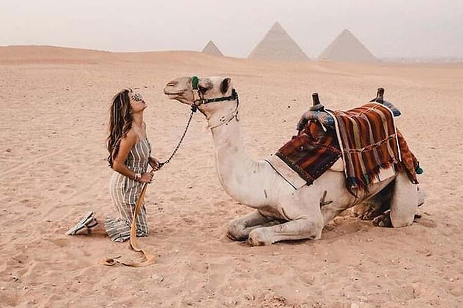 Cairo: Grand Egyptian Museum, Giza Pyramids and Sphinx Tour - Who should choose this seven-hour tour?