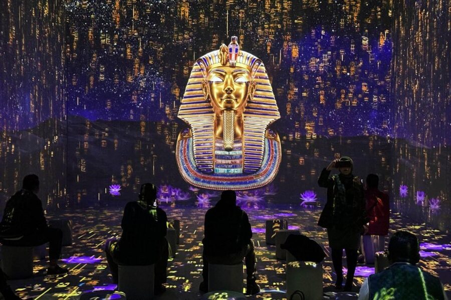 Cairo: Grand Egyptian Museum QR Ticket - Who will get the most from this ticket?
