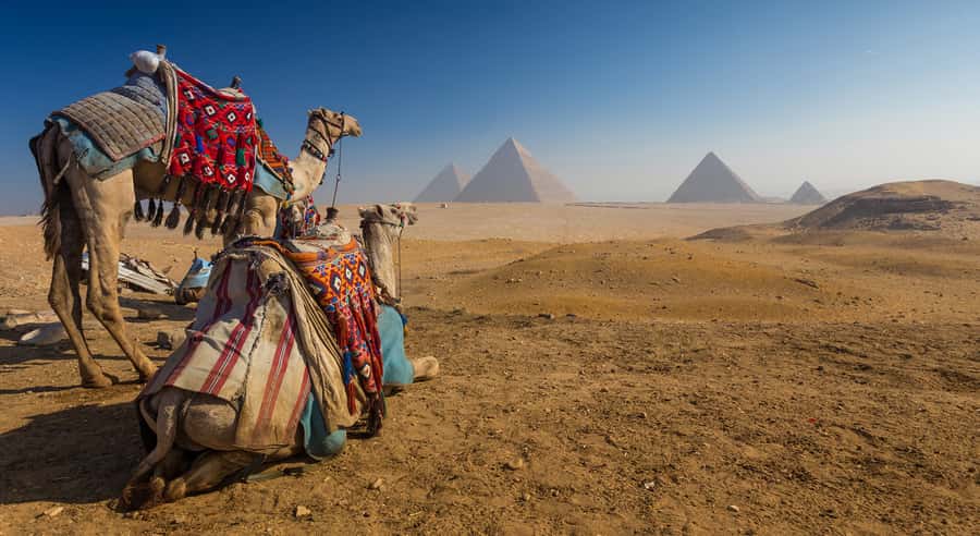 Cairo: Great Pyramids of Giza and Egyptian Museum Tour - The Pyramids of Giza: three monuments, three stories