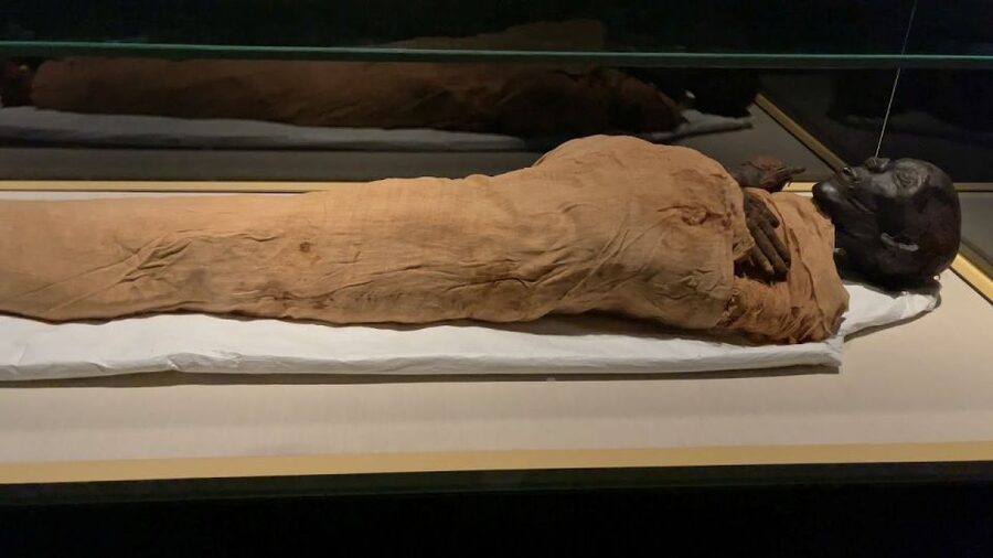 Cairo: National Museum of Egypt Skip-the-Line QR Ticket - A timeline from the Predynastic era to modern Egypt