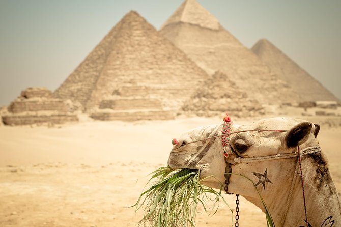 Cairo Private Tours To Giza Pyramids,Egyptian Museum & Bazaar - What the $8 price really means