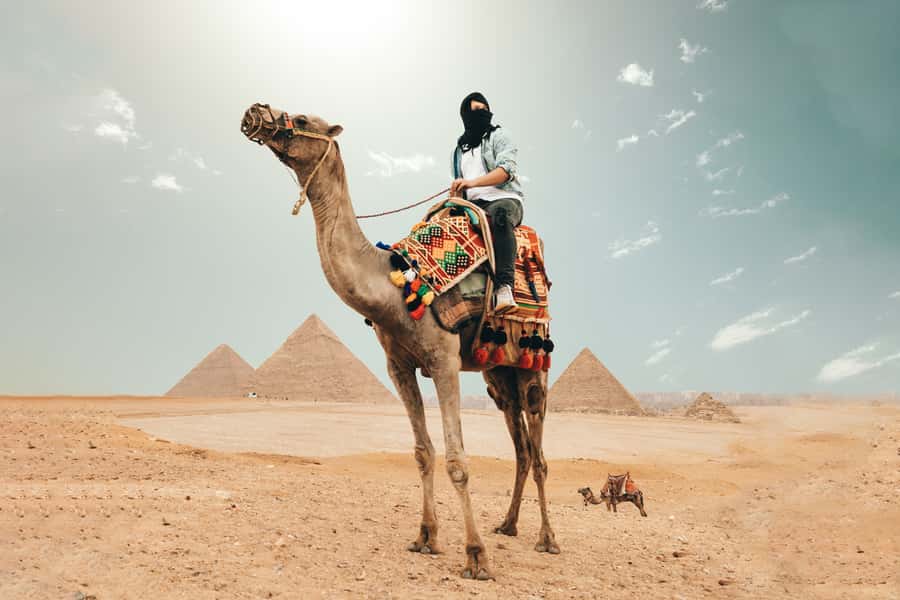 Cairo: Pyramids, Bazaar, Citadel Tour with Photographer - Pickup, transport, and the eight-hour rhythm