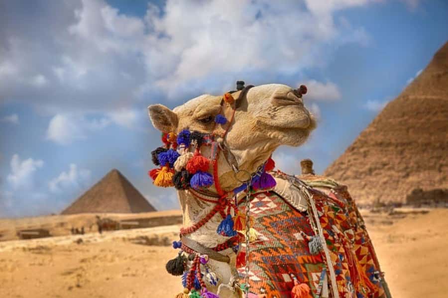 Cairo: Pyramids & Great Sphinx Private Tour with Camel Ride - The Great Pyramid and the three royal monuments